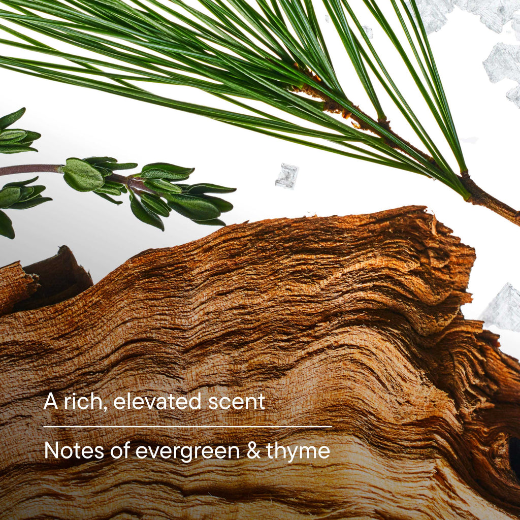 Redwood Deodorant | 48 HR Odor Control